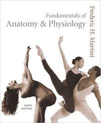 Fundamentals of Anatomy & Physiology