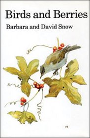 Birds and Berries: A Study of an Ecological Interaction