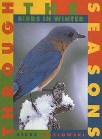 Birds in Winter (Through the Seasons, Bk 4)