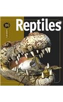 Insiders Reptiles/ Insiders Reptiles (Spanish Edition)