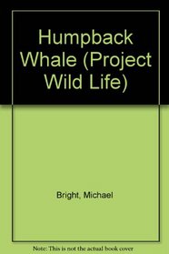 Humpback Whale (Project Wild Life)