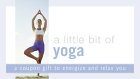 A Little Bit of Yoga: A Coupon Gift to Energize and Relax You (Coupon Collections)