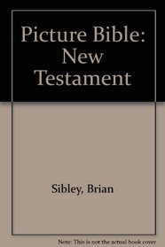 Picture Bible: New Testament