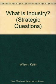 What is Industry? (Strategic Questions)