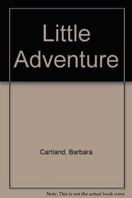 The Little Adventure (Large Print)