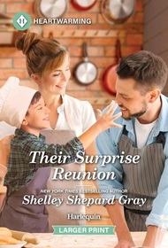 Their Surprise Reunion (Matchmaker Knows Best, Bk 1) (Harlequin Heartwarming, No 563) (Larger Print)