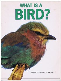 What Is A Bird?
