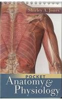 Display Pocket Anatomy & Physiology 13 Copies