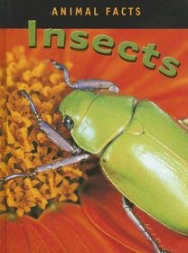 Insects (Animal Facts)