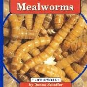 Mealworms (Life Cycles.)