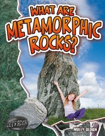 What Are Metamorphic Rocks? (Let's Rock!)