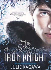 The Iron Knight (Turtleback School & Library Binding Edition) (Iron Fey (PB))