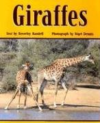 Giraffes (Rigby PM Benchmark Collection: Level 23)