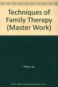 Techniques of Family Therapy (The Master Work Series)