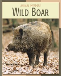 Wild Boar (Animal Invaders)