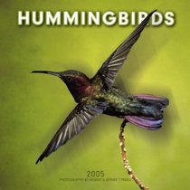 Hummingbirds 2005 Wall Calendar