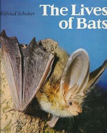 Lives of Bats