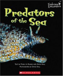 Predators of the Sea (Undersea Encounters)