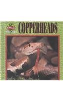 Copperheads (Fangs! An Imagination Library Series)