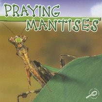 Praying Mantises (Insects Discovery Library.)