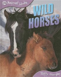 Wild Horses (Animal Lives)