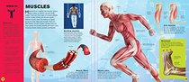 The Ultimate Interactive Guide to the Human Body