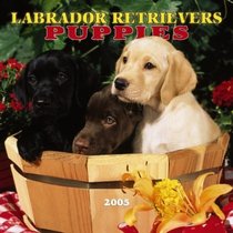 Labrador Retriever Puppies 2005 Wall Calendar