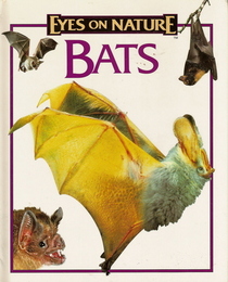 Bats (Eyes on nature)