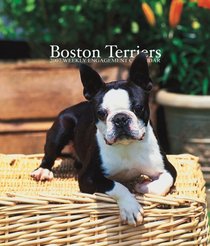 Boston Terriers 2007 Weekly Calendar