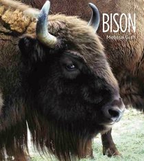 Bison (Living Wild)