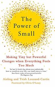 The Power of Small: Making Tiny But Powerful Changes When Everything Feels Too Much