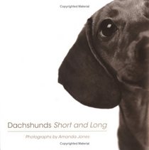 Dachshunds Short and Long
