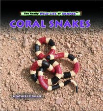Coral Snakes (The Really Wild Life of Snakes)