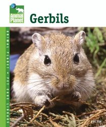 Gerbils (Animal Planet Pet Care Library)