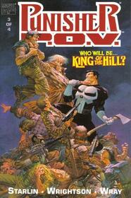 Punisher P.O.V. , Vol 3