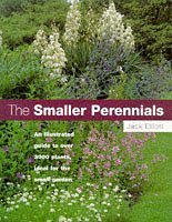 The Smaller Perennials
