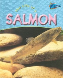 Life of a Salmon (Life Cycles)