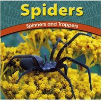 Spiders: Spinners and Trappers (Wild World of Animals)