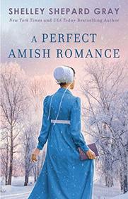 A Perfect Amish Romance (Berlin Bookmobile, Bk 1)