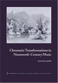 Chromatic Transformations in Nineteenth-Century Music (Cambridge Studies in Music Theory and Analysis)
