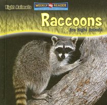 Raccoons Are Night Animals