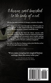 Cat Sidhe: Into the Witch Lands I (Volume 1)