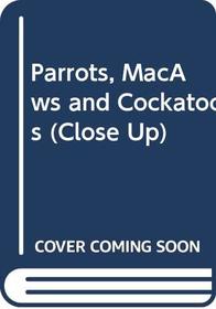 Parrots, MacAws and Cockatoos (Close Up)