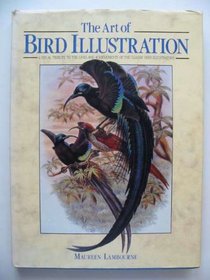 The art of bird illustration