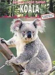 Koala (Animals Under Threat)