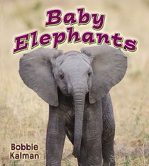 Baby Elephants (It's Fun to Learn About Baby Animals)
