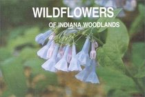 Wildflowers of Indiana Woodlands