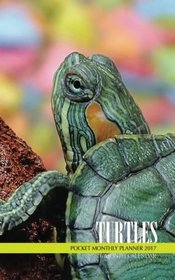Turtles Pocket Monthly Planner 2017: 16 Month Calendar