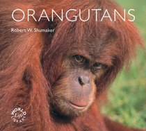 Orangutans (WorldLife Library)