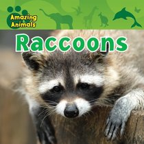 Raccoons (Amazing Animals (Gareth Stevens Library))